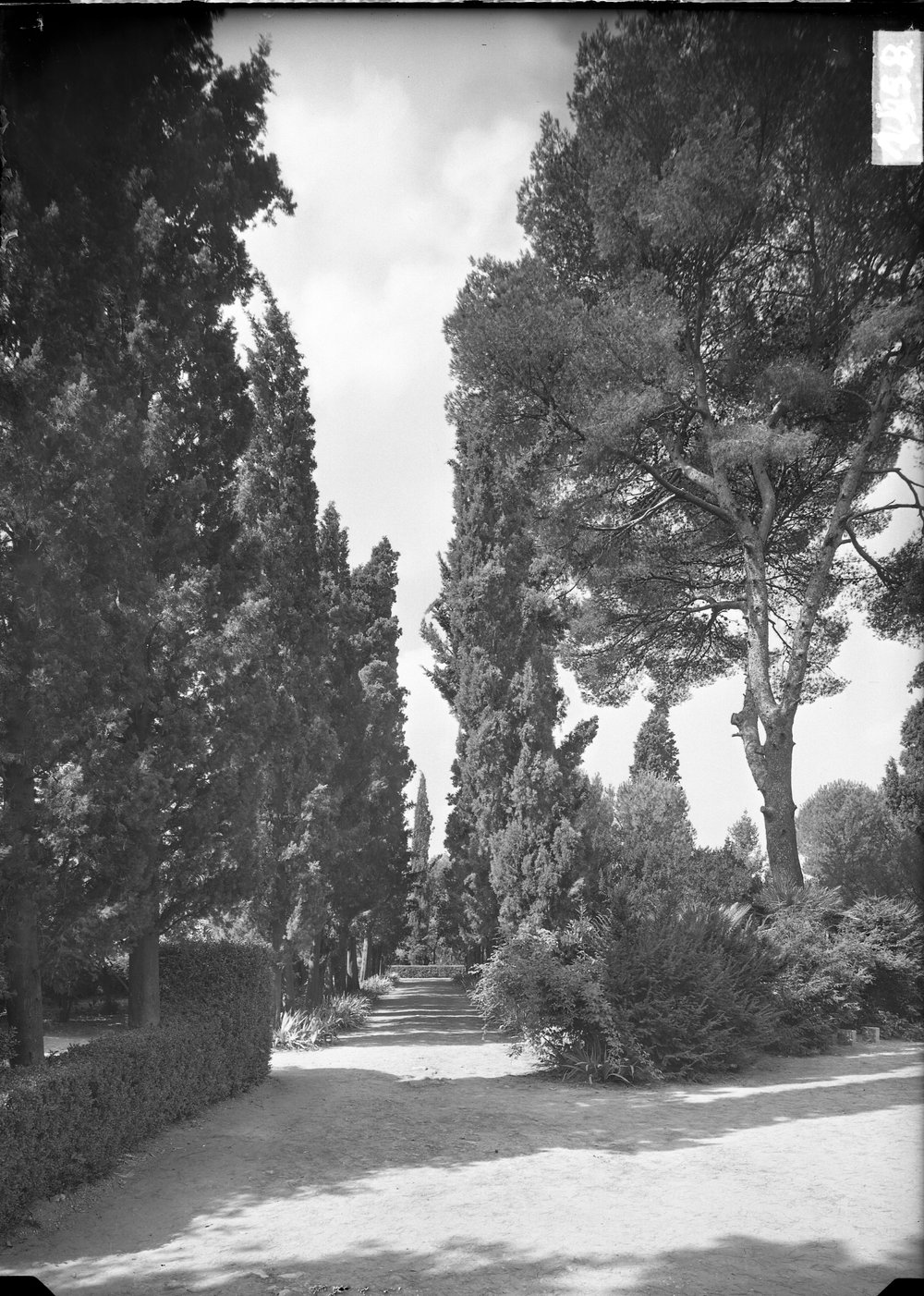 Palatino, Orti Farnesiani - 1558.tif