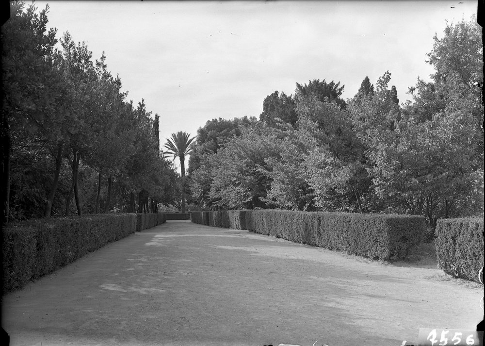 Palatino, Orti Farnesiani - 1556.tif
