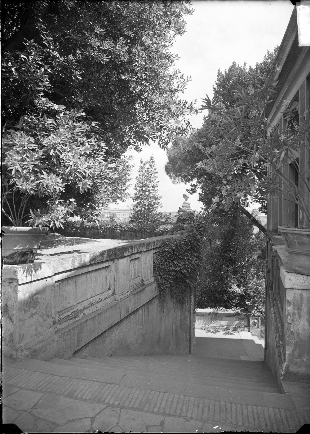 Palatino, Orti Farnesiani - 1559.tif
