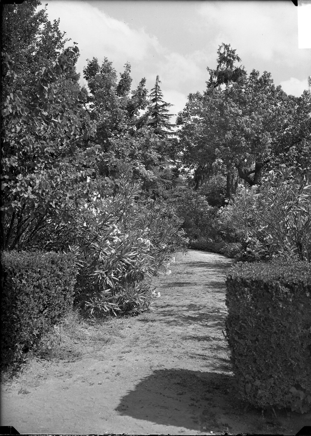 Orti Farnesiani - 1563.tif