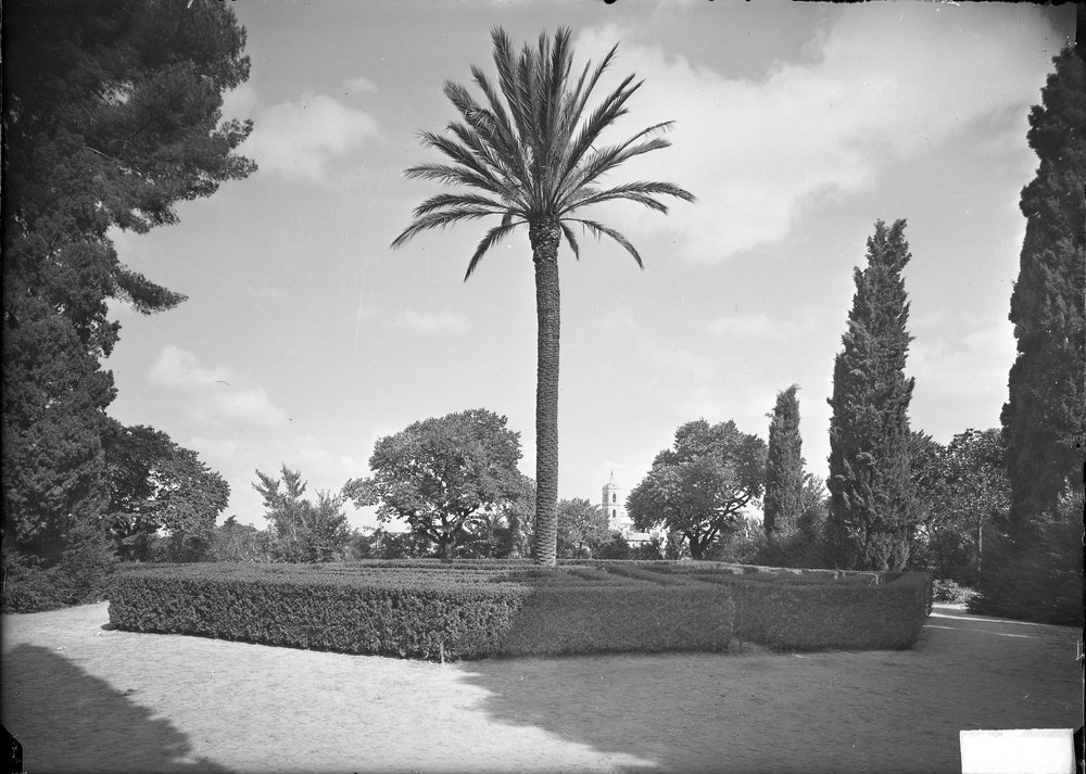 Orti Farnesiani - 1564.tif