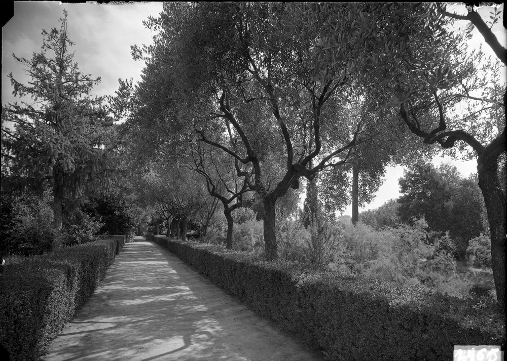 Orti Farnesiani - 1565.tif