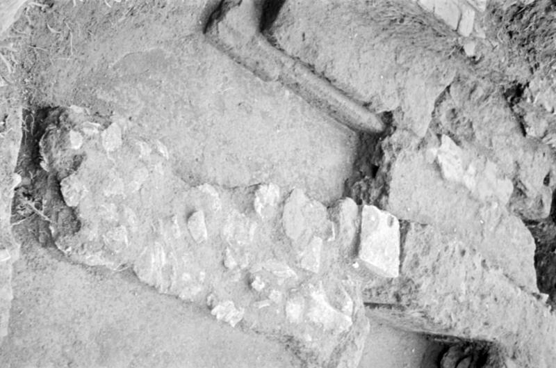 1-00009/ 07551/ 16779 - Roma - Foro Romano - Zona a Nord del Sepolcreto