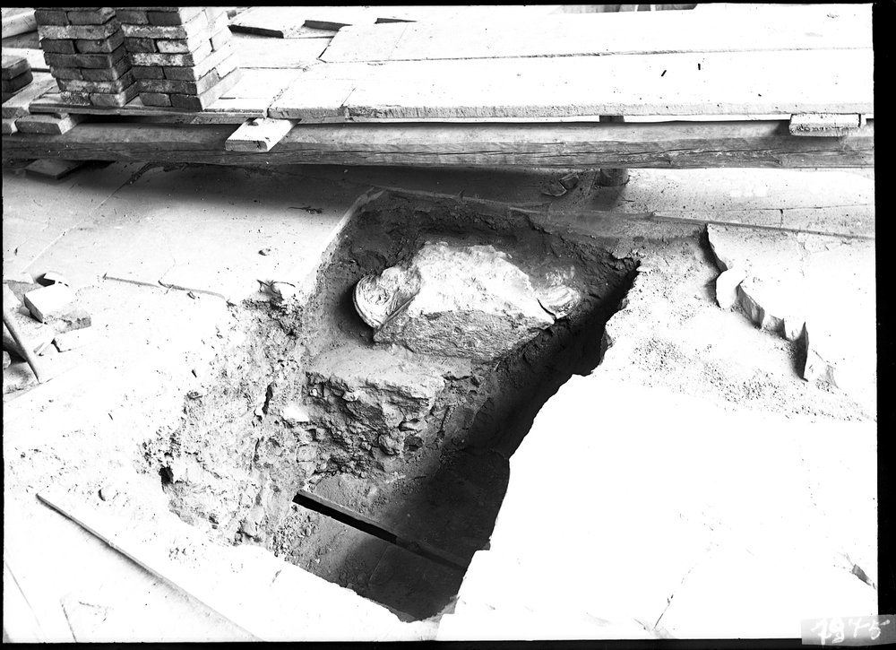 Casa dei Grifi 1975.tif