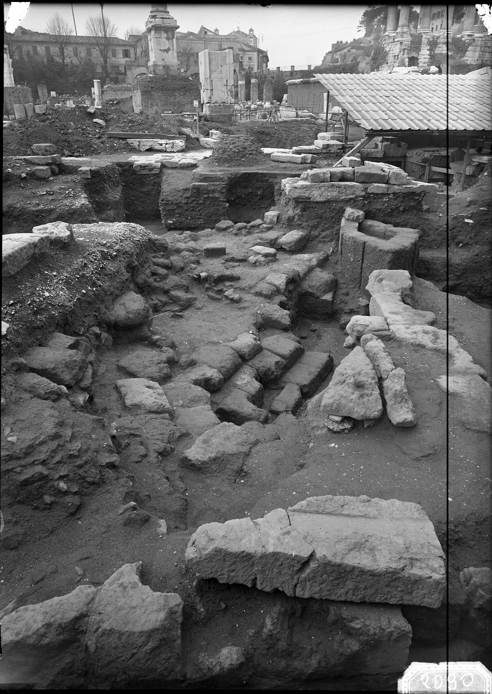 Gradino dei primi Rostri - 2090.tif