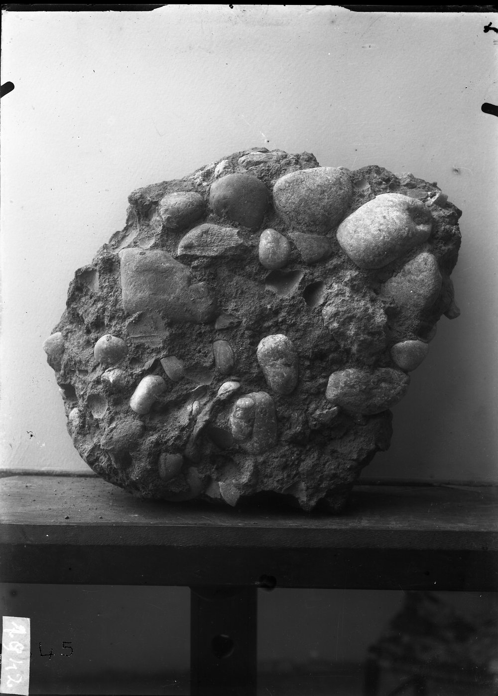 Comizio - 1942.tif