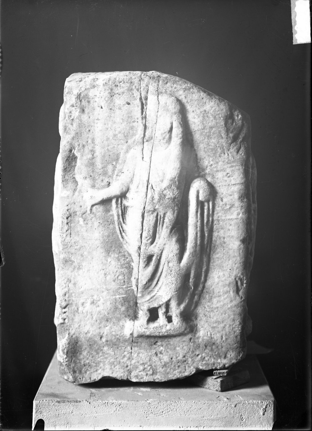 Statue, rilievi, basi in marmo 1388.tif