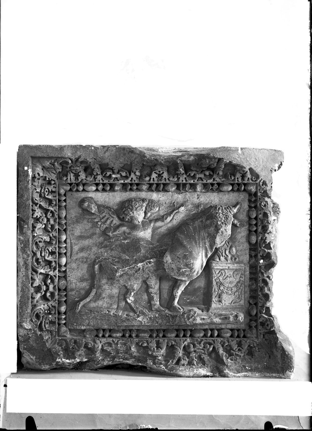 Statue, rilievi, basi in marmo 1384.tif