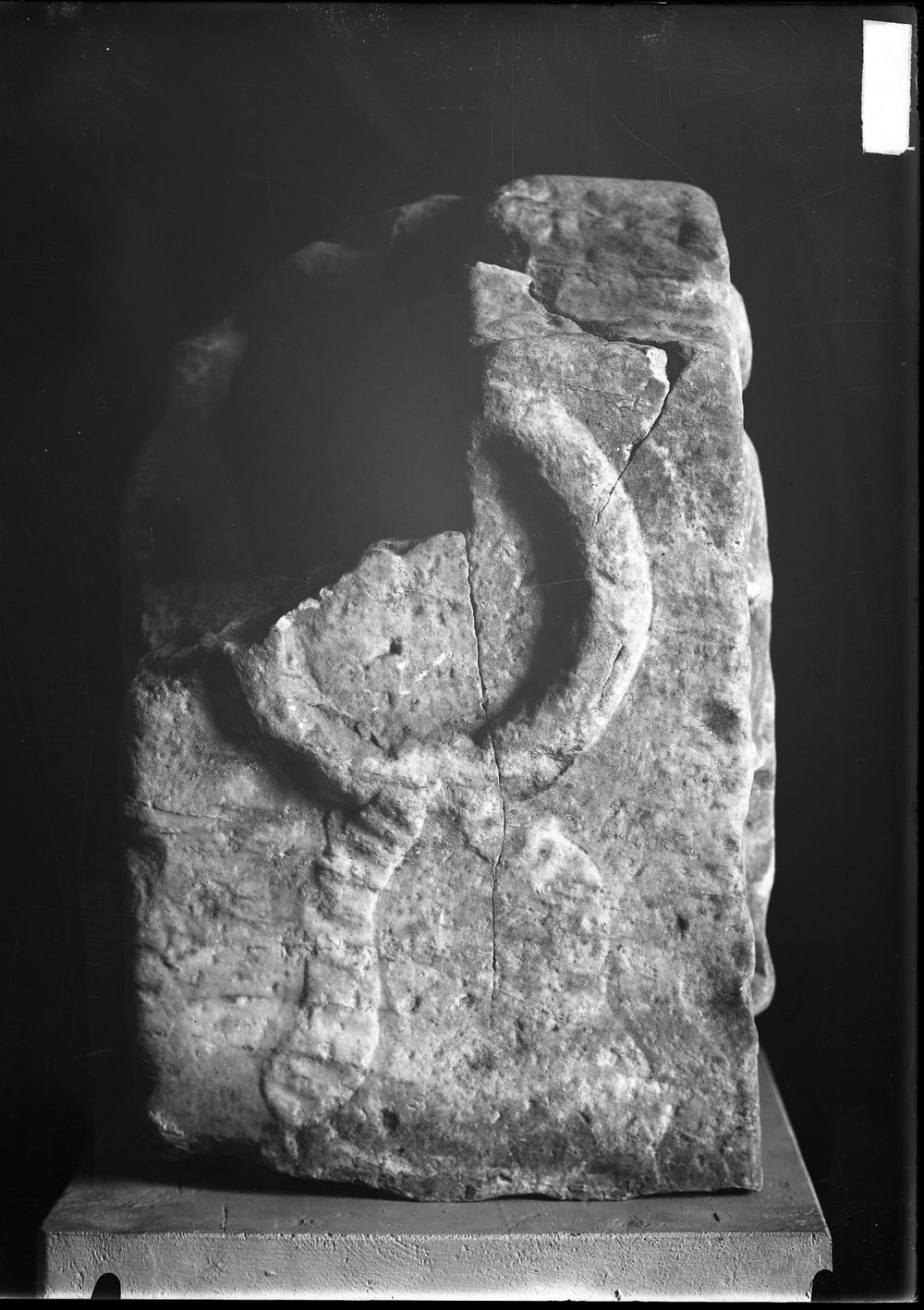 Statue, rilievi, basi in marmo 1389.tif