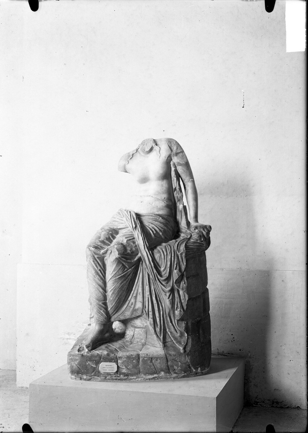 Busti e statue 1463.tif