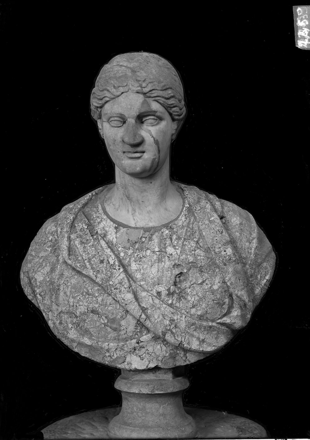Busti e statue 1459.tif