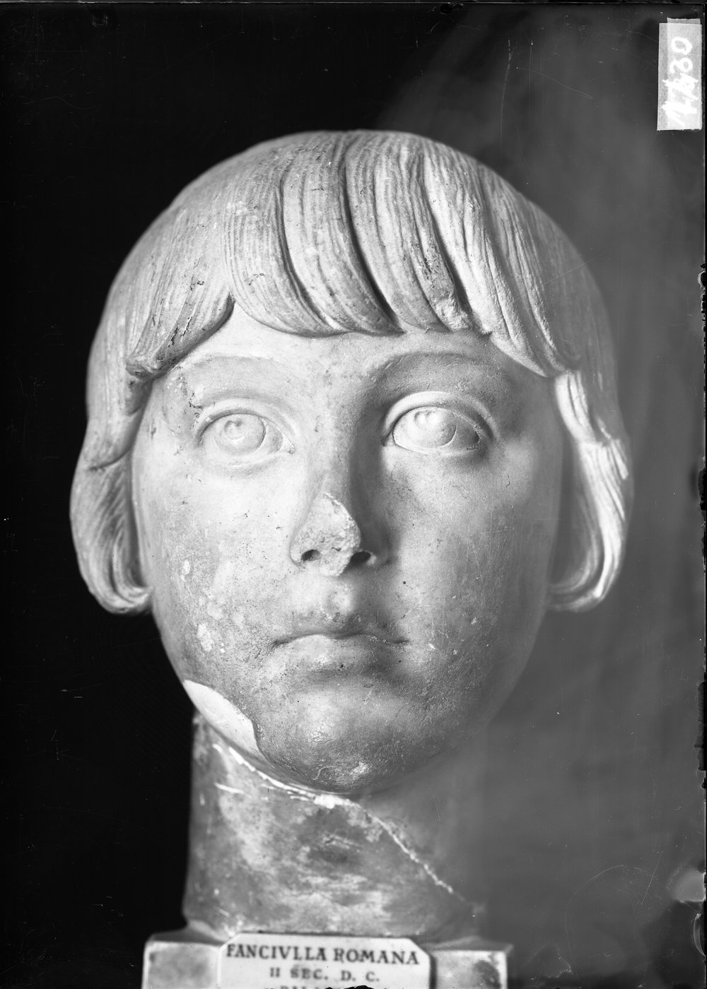 Statue e teste 1430.tif