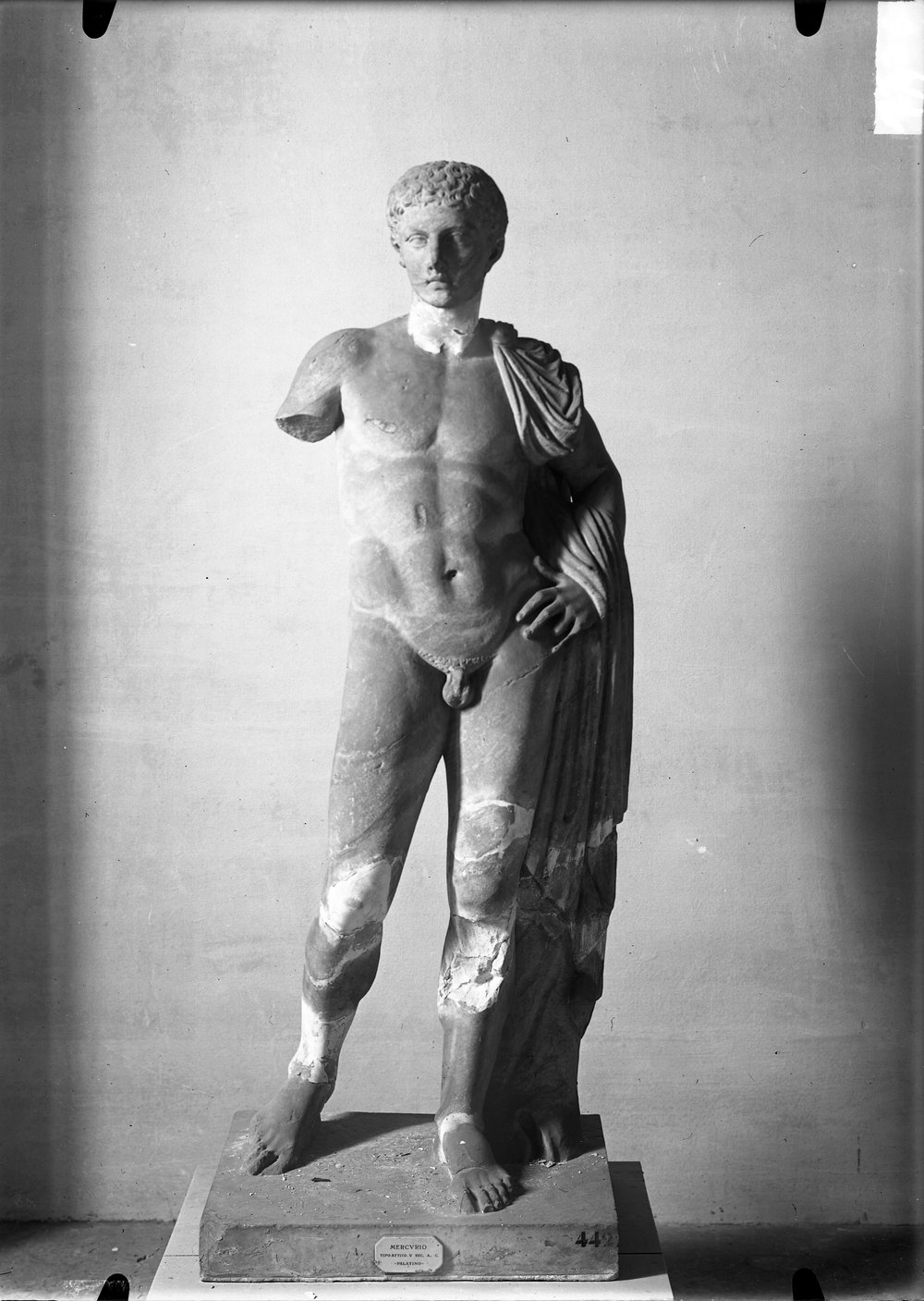 Statue e teste 1436.tif