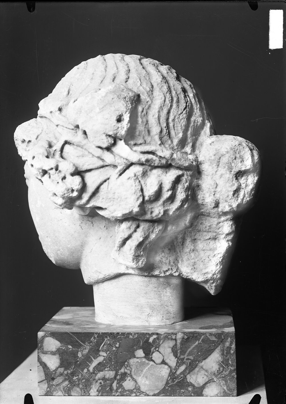 Statue e teste 1442.tif