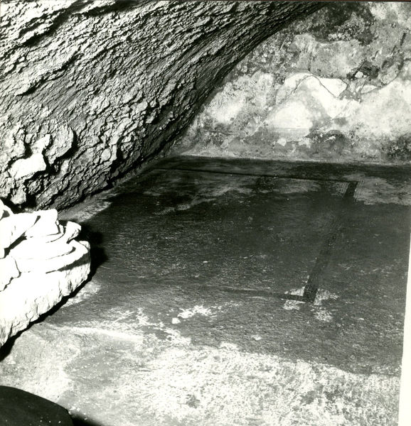 002734 - scavo archeologico - Casa Repubblicana a fianco delle Scalae Caci (sud-ovest della Casa di Livia), ambiente II della pianta degli scavi del Carettoni del 1956. Il mosaico Ã¨ composto da una balza marginale di tessere bianche a ordito obliquo e una cornice di quattro filari di tessere nere ad ordito regolare. La cornice risulta fiancheggiata su entrambi i lati da tre filari di tessere bianche a ordito regolare. Il campo centrale Ã¨ occupato da filari di tessere bianche a ordito obliquo.


Bibliografia di riferimento: Morricone, M.L. "Mosaici antichi in Italia-Regio X Palatium" 1967 pag. 40 e ss. 
Carettoni, G.F. in RendPontAcc. XXIX, 1956-1957 pp. 53-54

Senza negativo