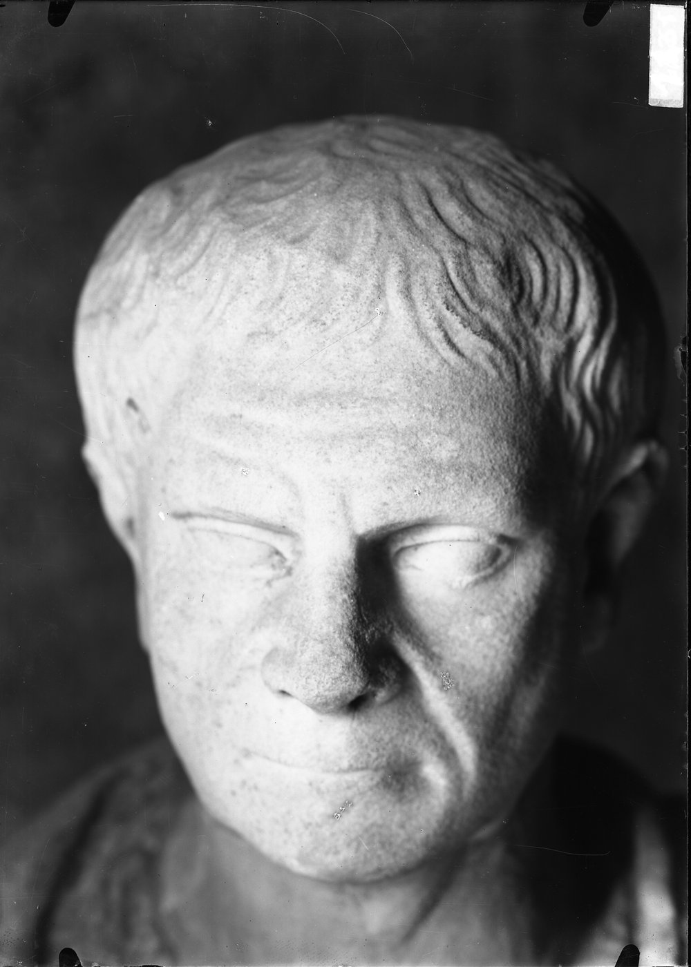 Statue e teste 1431.tif