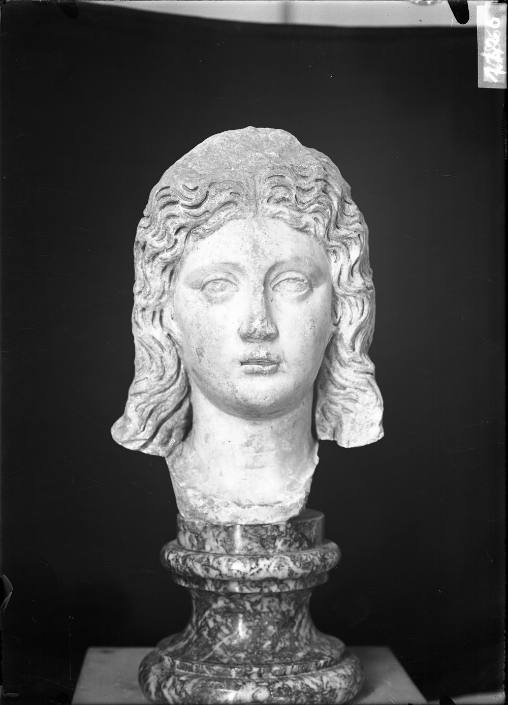 Statue e teste 1426.tif