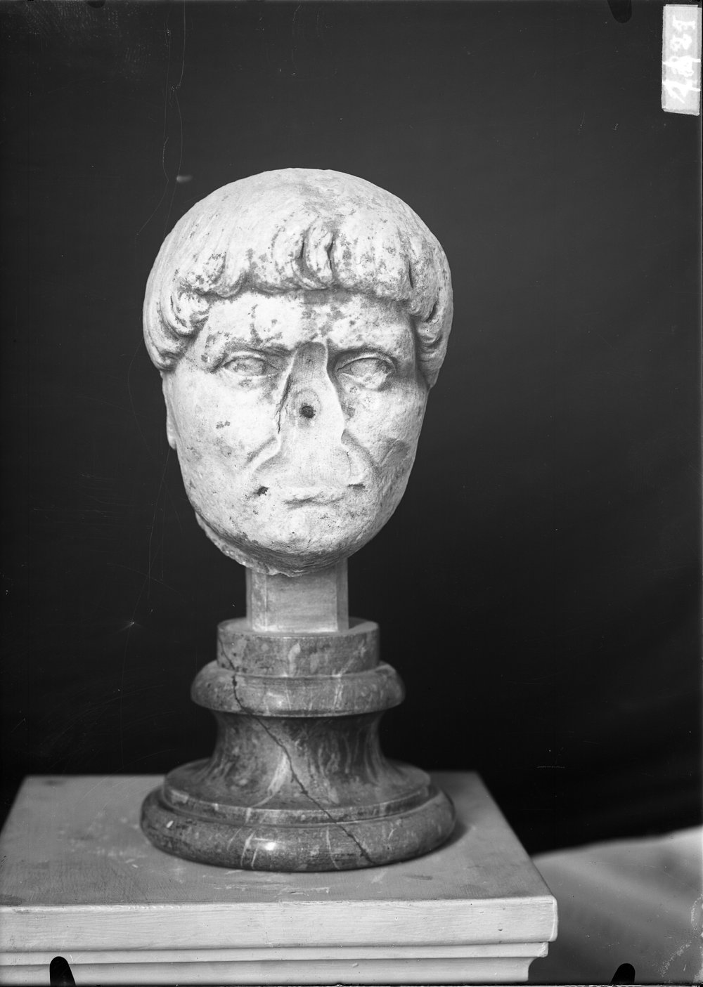 Statue e teste 1421.tif