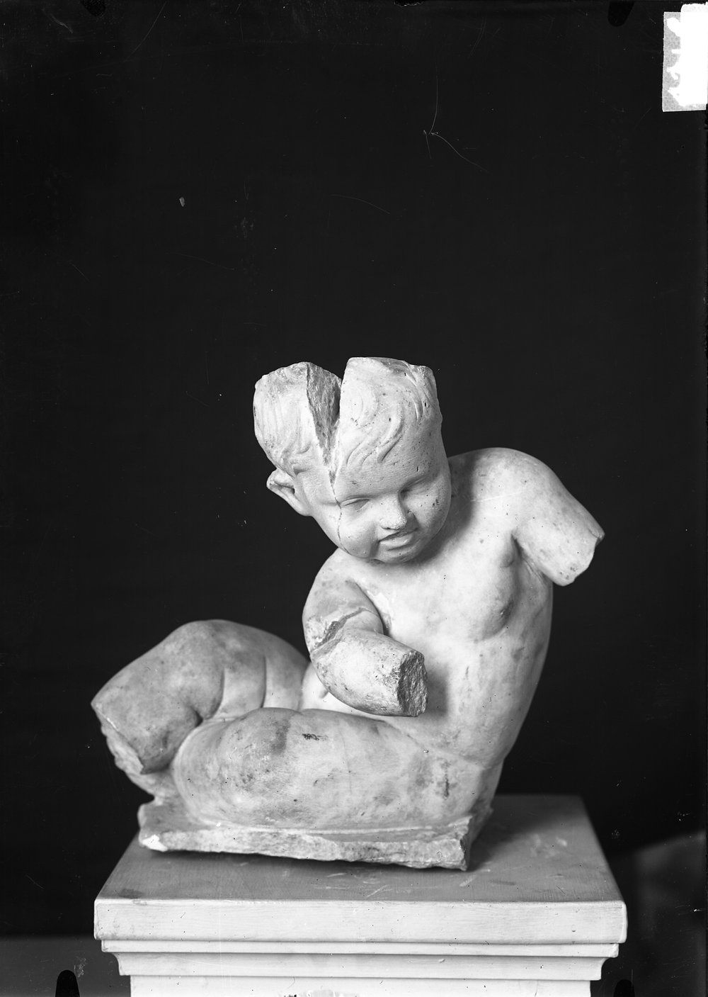 Statue e teste 1444.tif