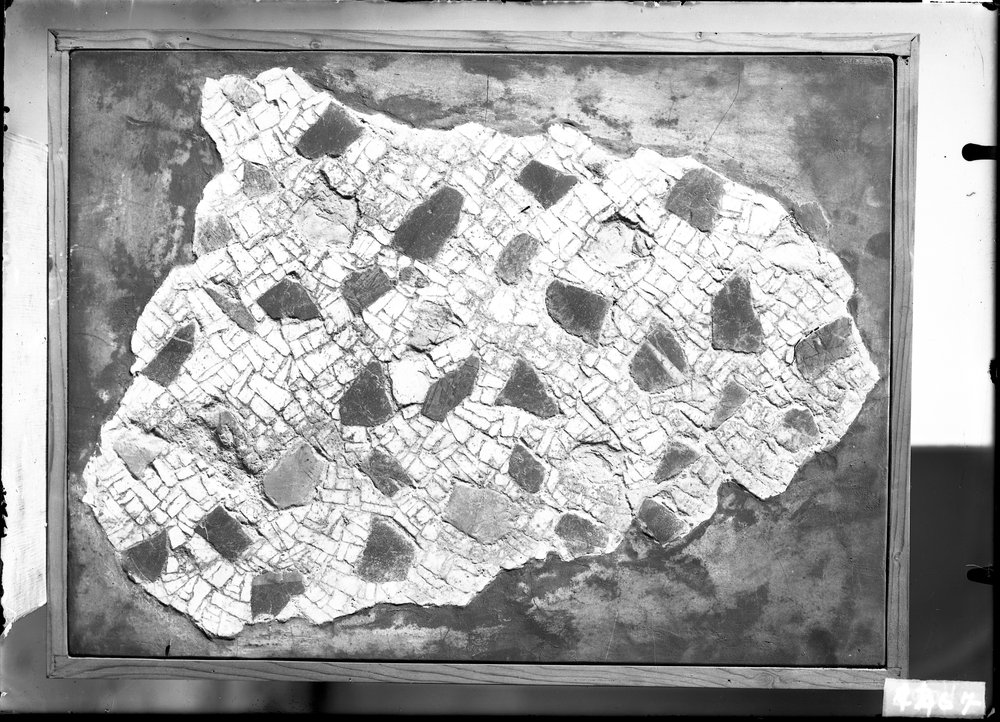 Mosaici e rilievi 1467.tif