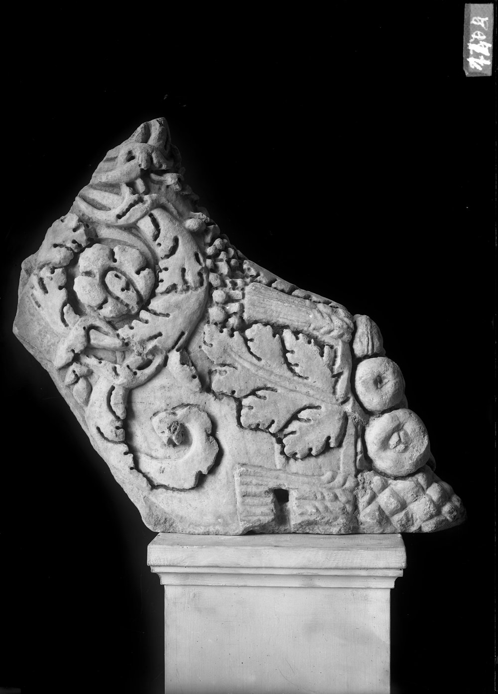 Mosaici e rilievi 1474.tif