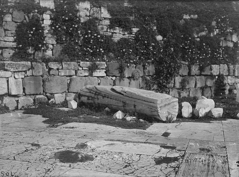 011196 - reperto - Basilica Emilia, frammento di fusto di colonna in marmo cipollino, all'interno dell'aula. Neg. serie F nÂ°504 [Reg. agosto 1958] 