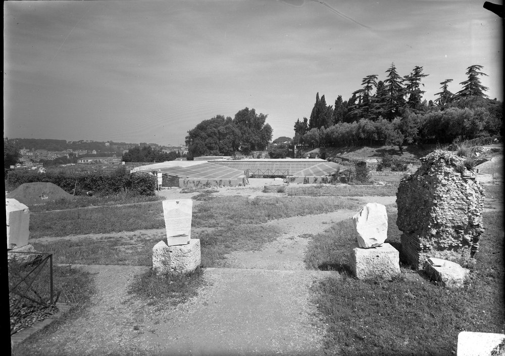 Cortile posteriore, particolare - 2744.tif