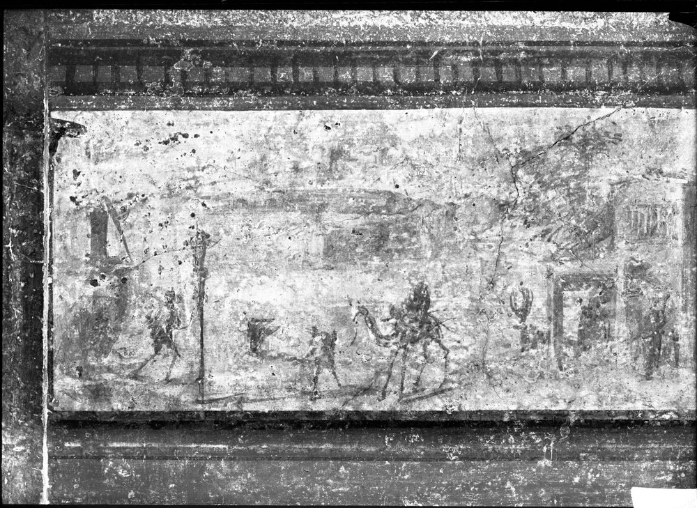 CL2256-asf011735.jpg