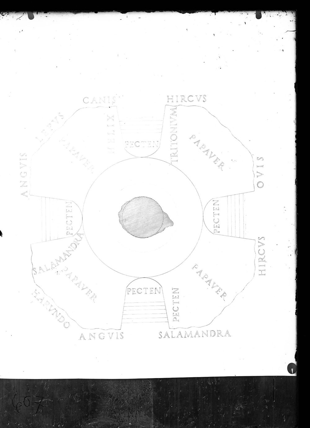 Lastra 607, Sacrario di Giuturna.jpg