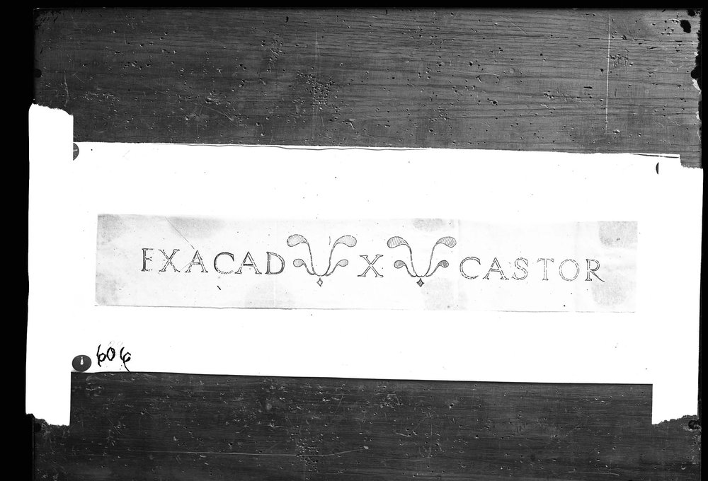 Lastra 606, Sacrario di Giuturna.jpg