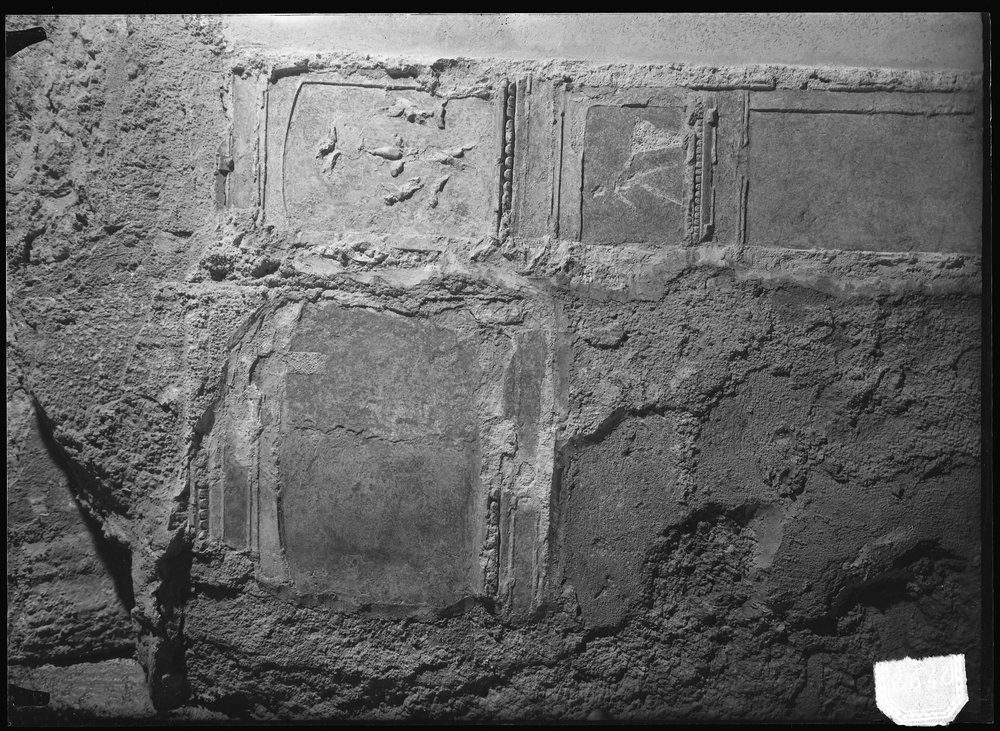 Lastra 2642, Domus Tiberiana (ponte Caligola) ambiente numero 12, piano superiore, particolare decorazione parete occidentale dopo restauro (Gennaio 1966).tif