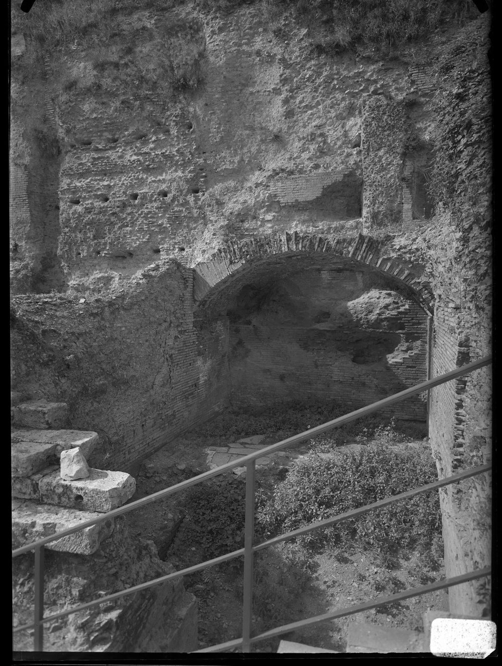 Lastra 2743 - Palatino - Vigna Barberini - versante settentrionale (bagni di nerone) ruderi dopo la ripulitura.tif