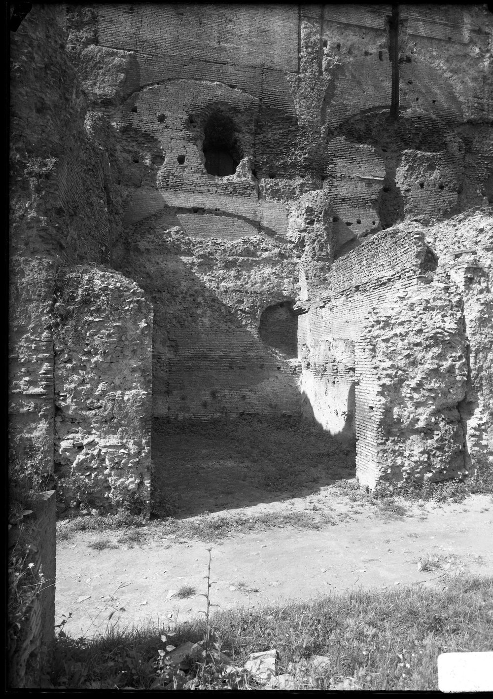 Lastra 2742 - Palatino - Vigna Barberini - versante settentrionale (bagni di nerone) ruderi dopo la ripulitura.tif
