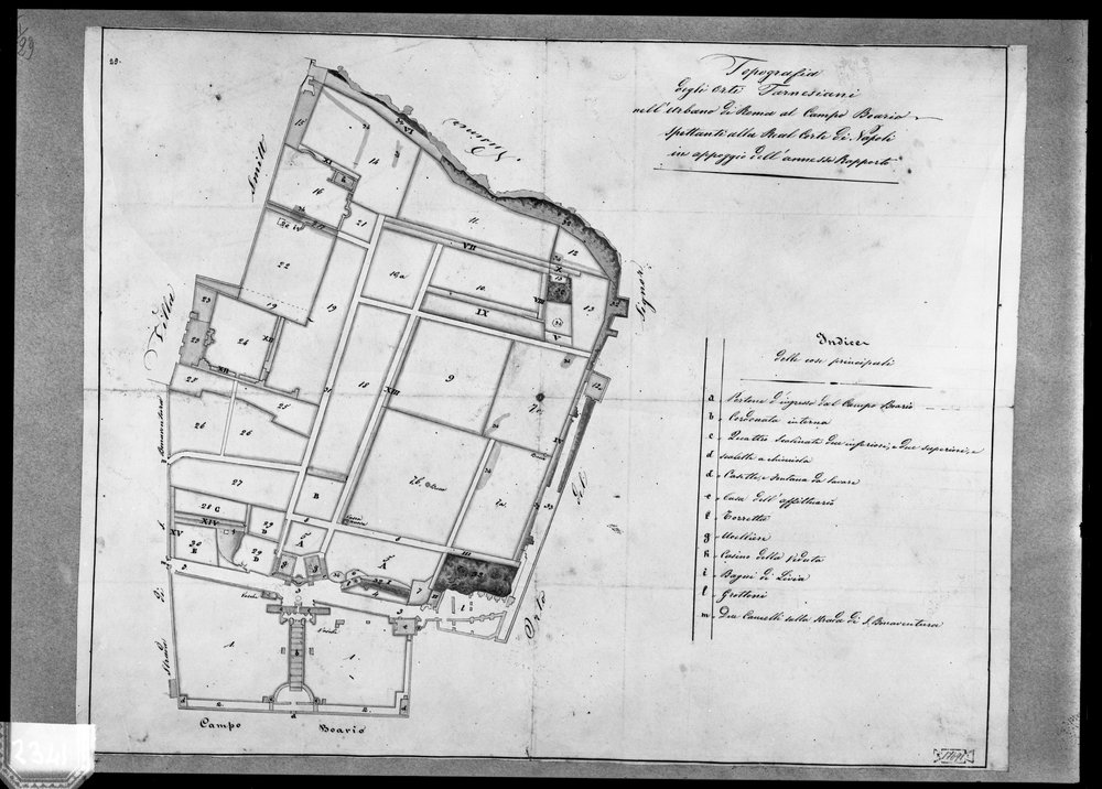 Lastra 2341, Palatino, orti farnesiani, Coll. ne Lanciani. Roma XI-7-II-29, disegno a penna acquarellato di ignoto, primi XIX sec..tif