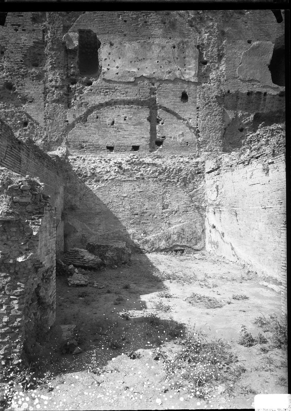 Lastra 2741 - Palatino - Vigna Barberini - versante settentrionale (bagni di nerone) ruderi dopo la ripulitura.tif
