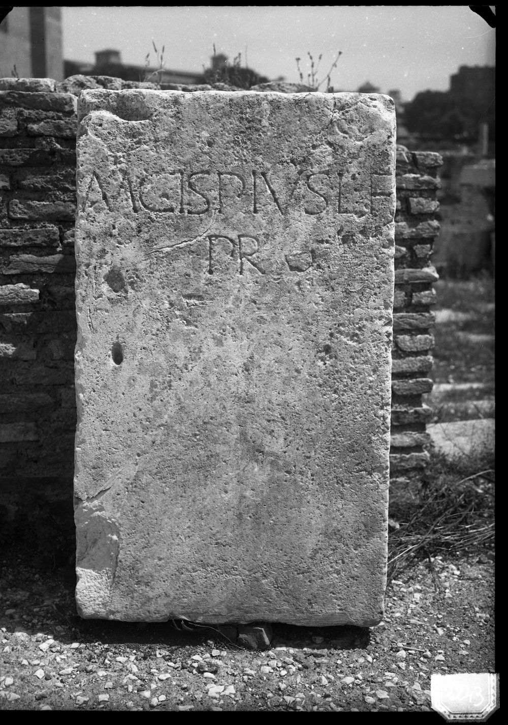 Lastra 2243, Cippo di M. Cispius, rinvenuto presso la colonna di Foca, ora alla Basilica Giulia.tif