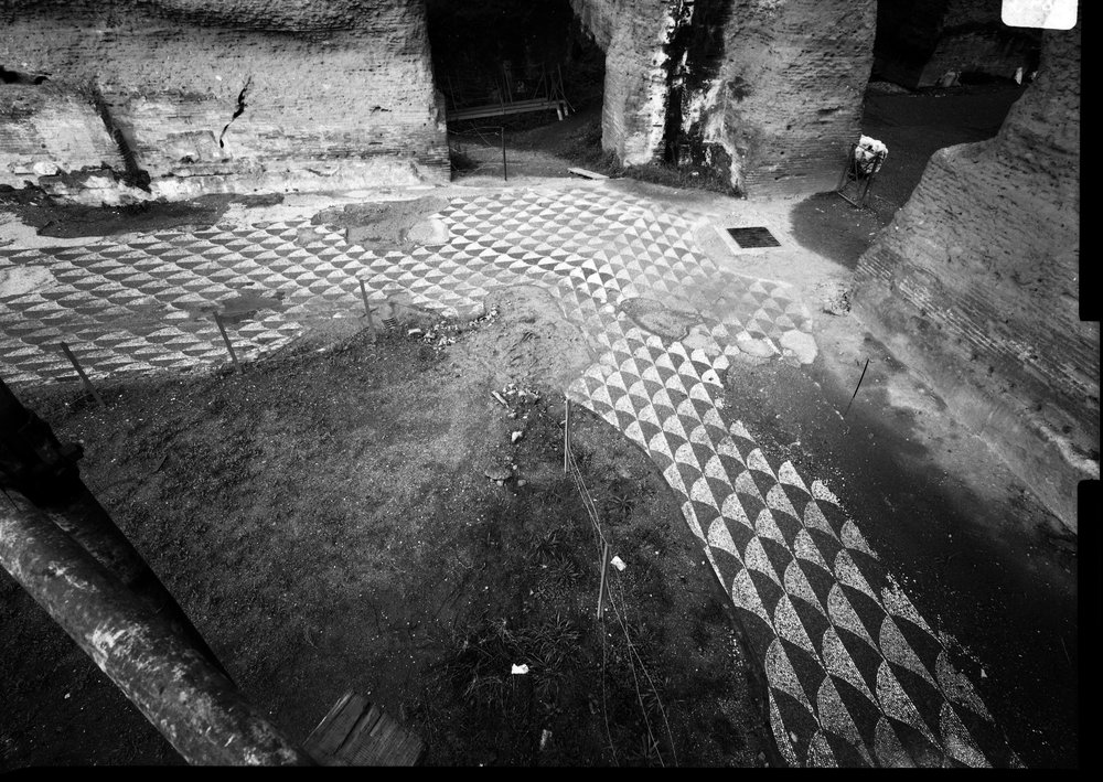 Pellicola 2783 - Terme di Caracalla - palestra occidentale - mosaico prima del restauro (1968).tif
