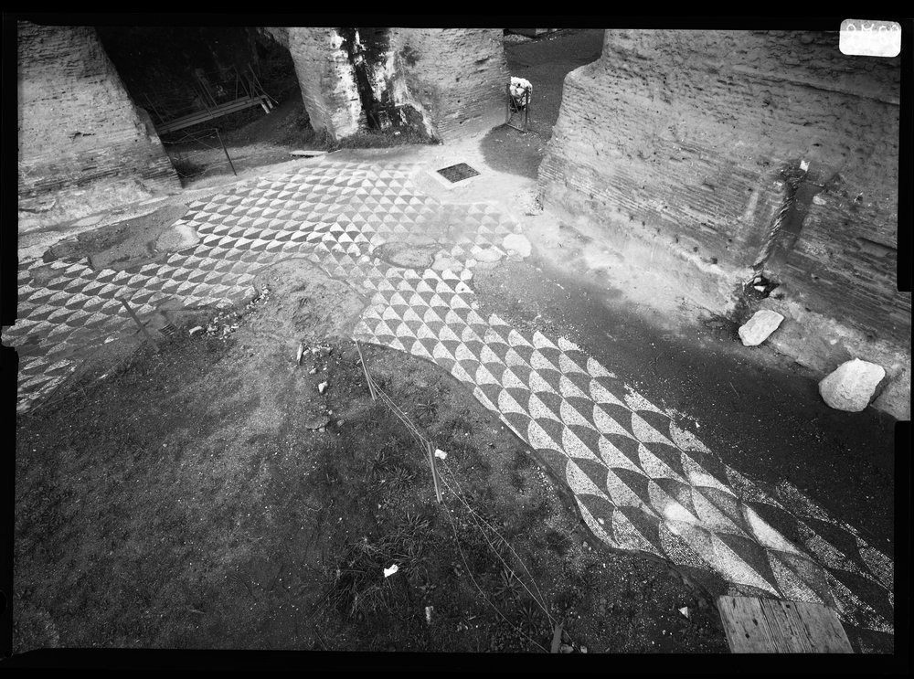 Pellicola 2782 - Terme di Caracalla - palestra occidentale - mosaico prima del restauro (1968).tif