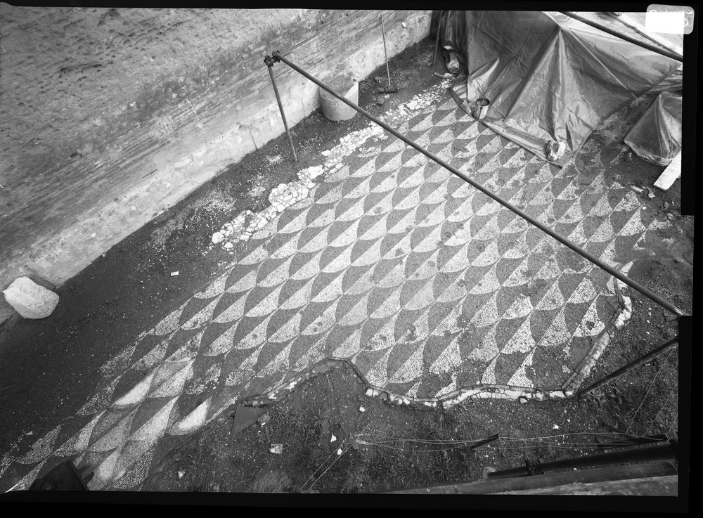 Pellicola 2785 - Terme di Caracalla - palestra occidentale - mosaico prima del restauro (1968).tif