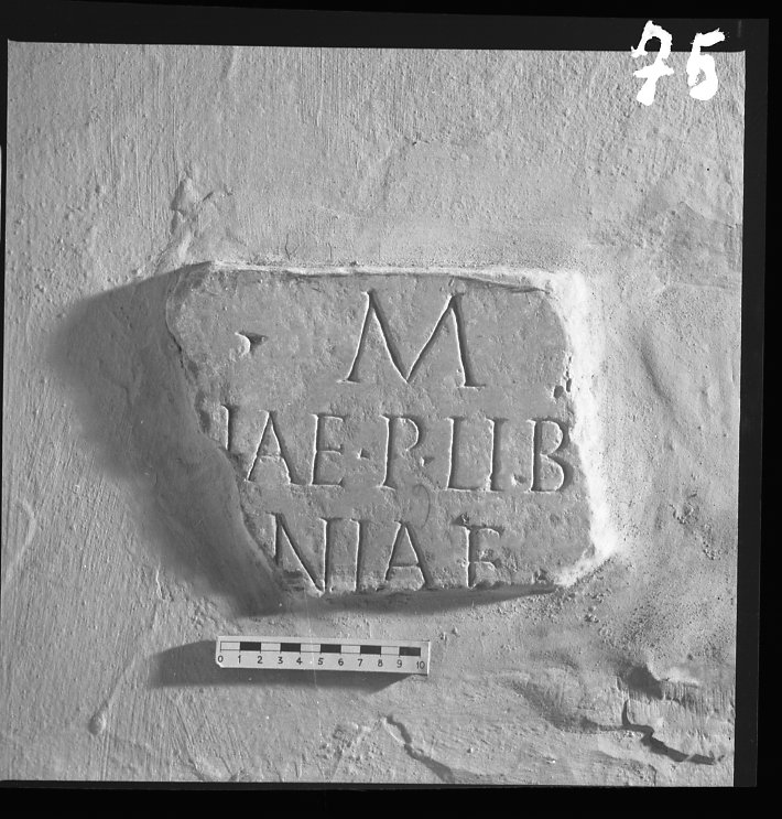 NL419.tif