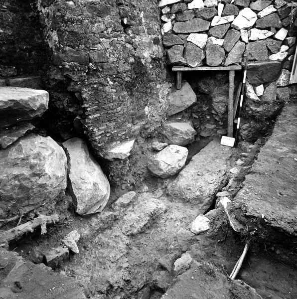 005707 - scavo archeologico - Clivio Palatino, lato sinistro: scavi