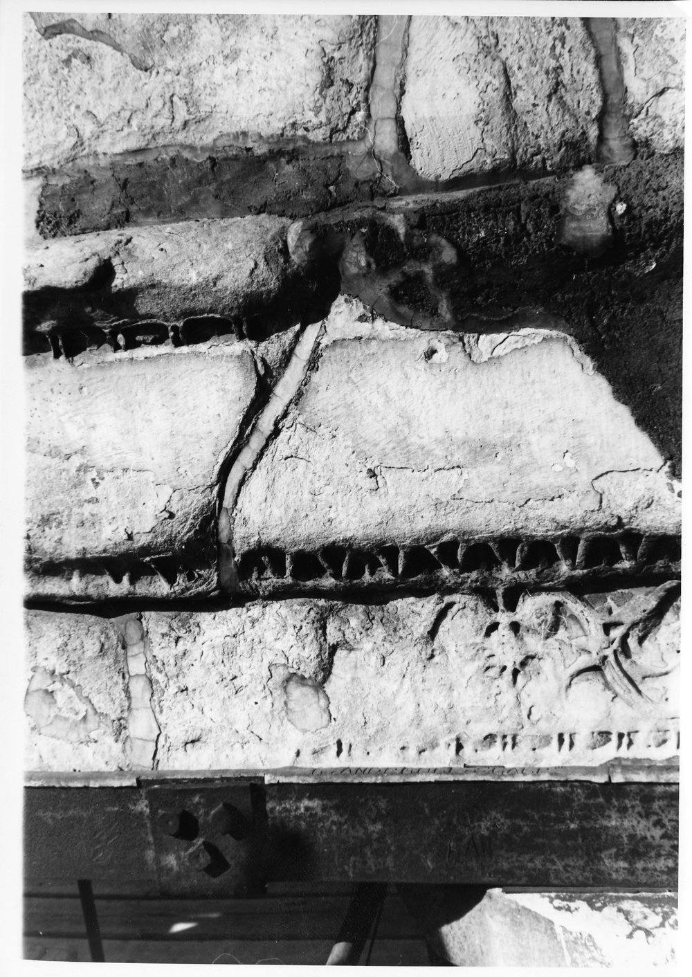 Tempio dei Castori 36.tif