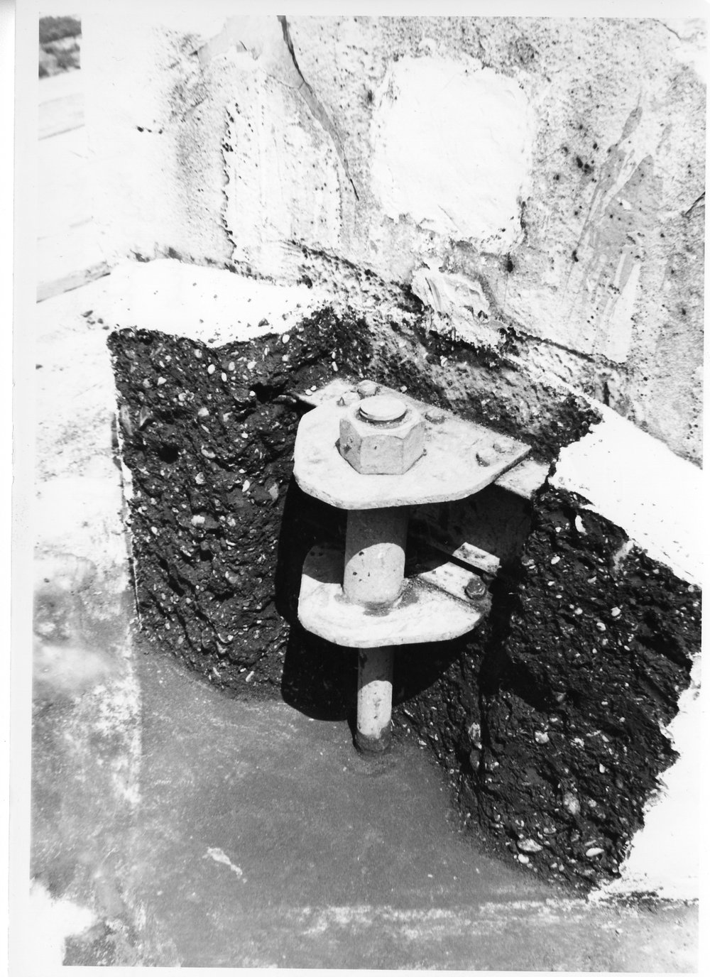 Tempio dei Castori 23.tif