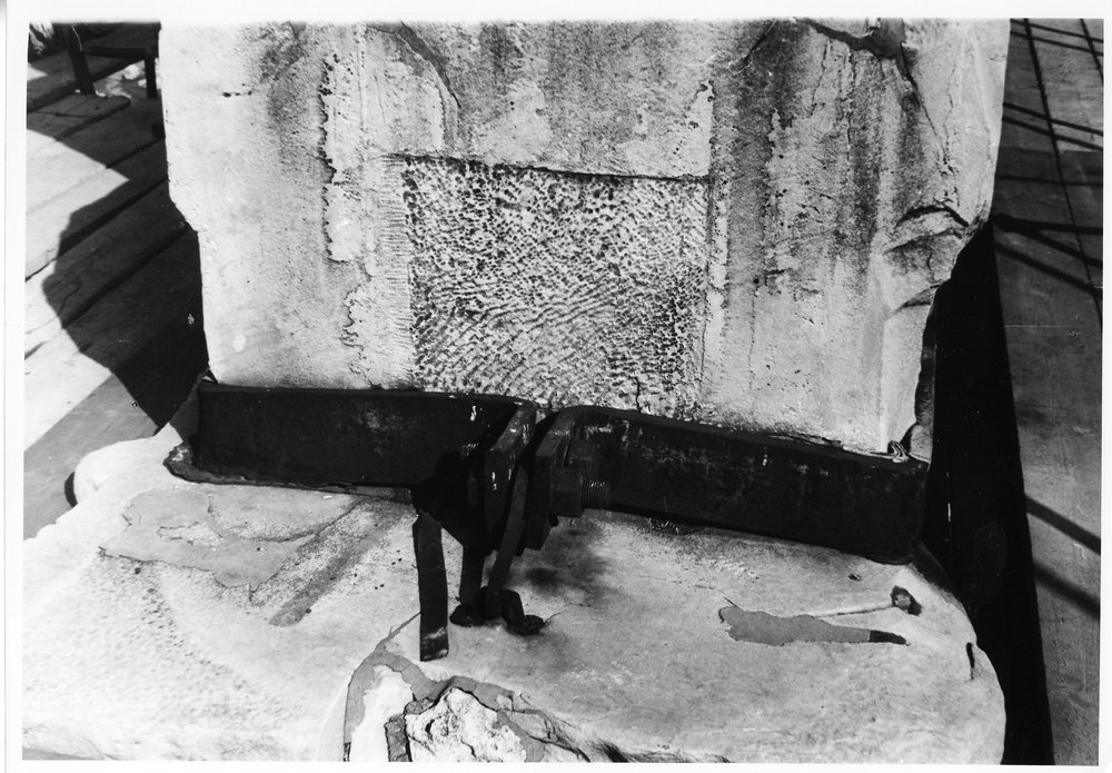 Tempio dei Castori 10.tif