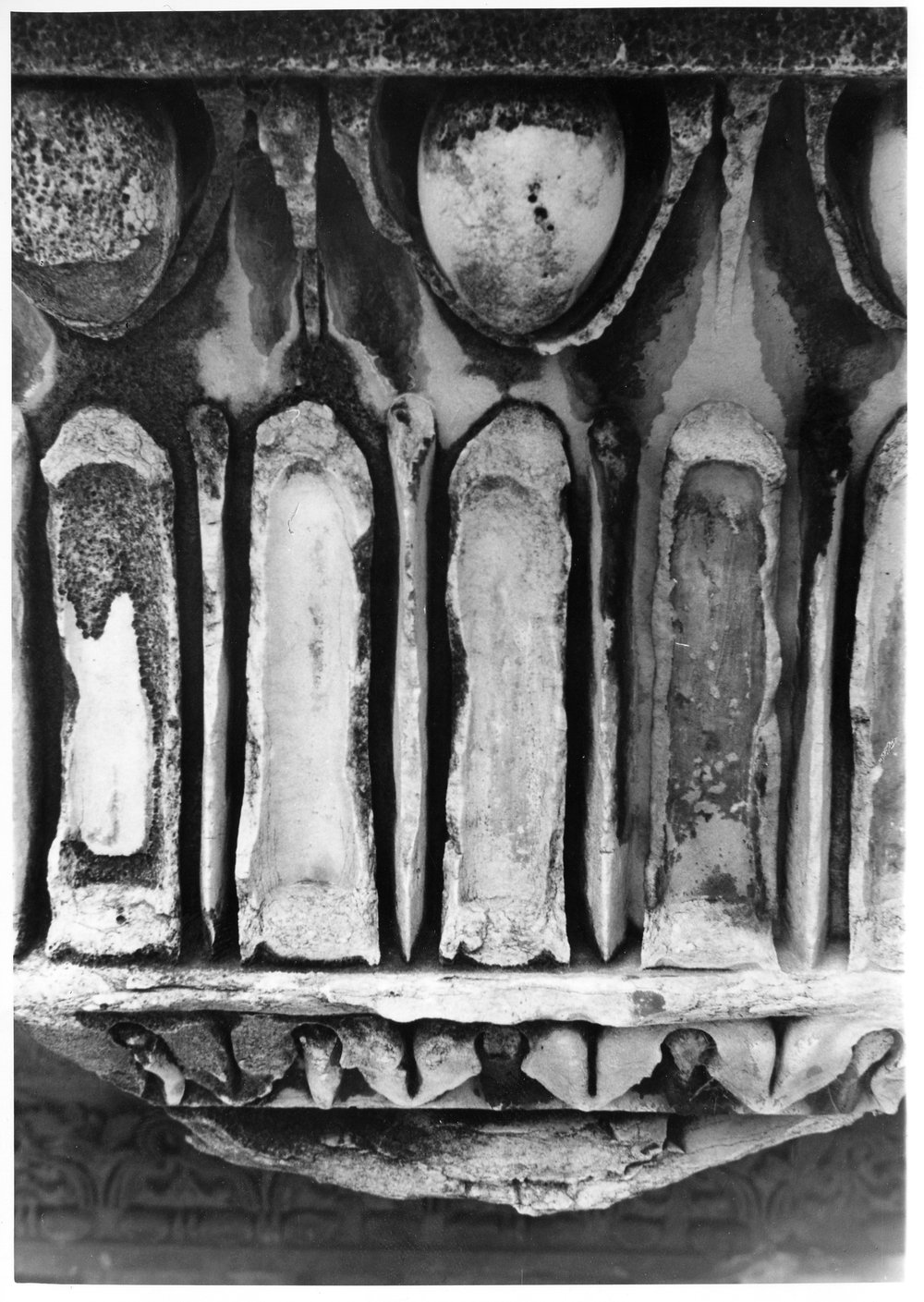 Tempio dei Castori 24.tif