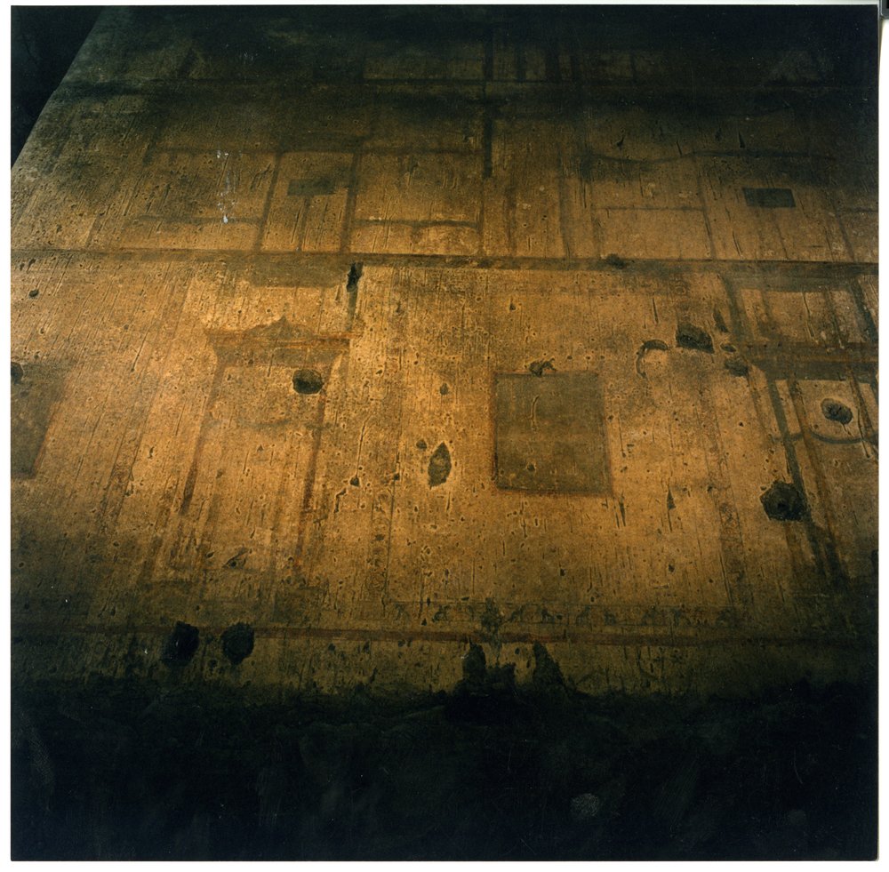 domus aurea 12.tif