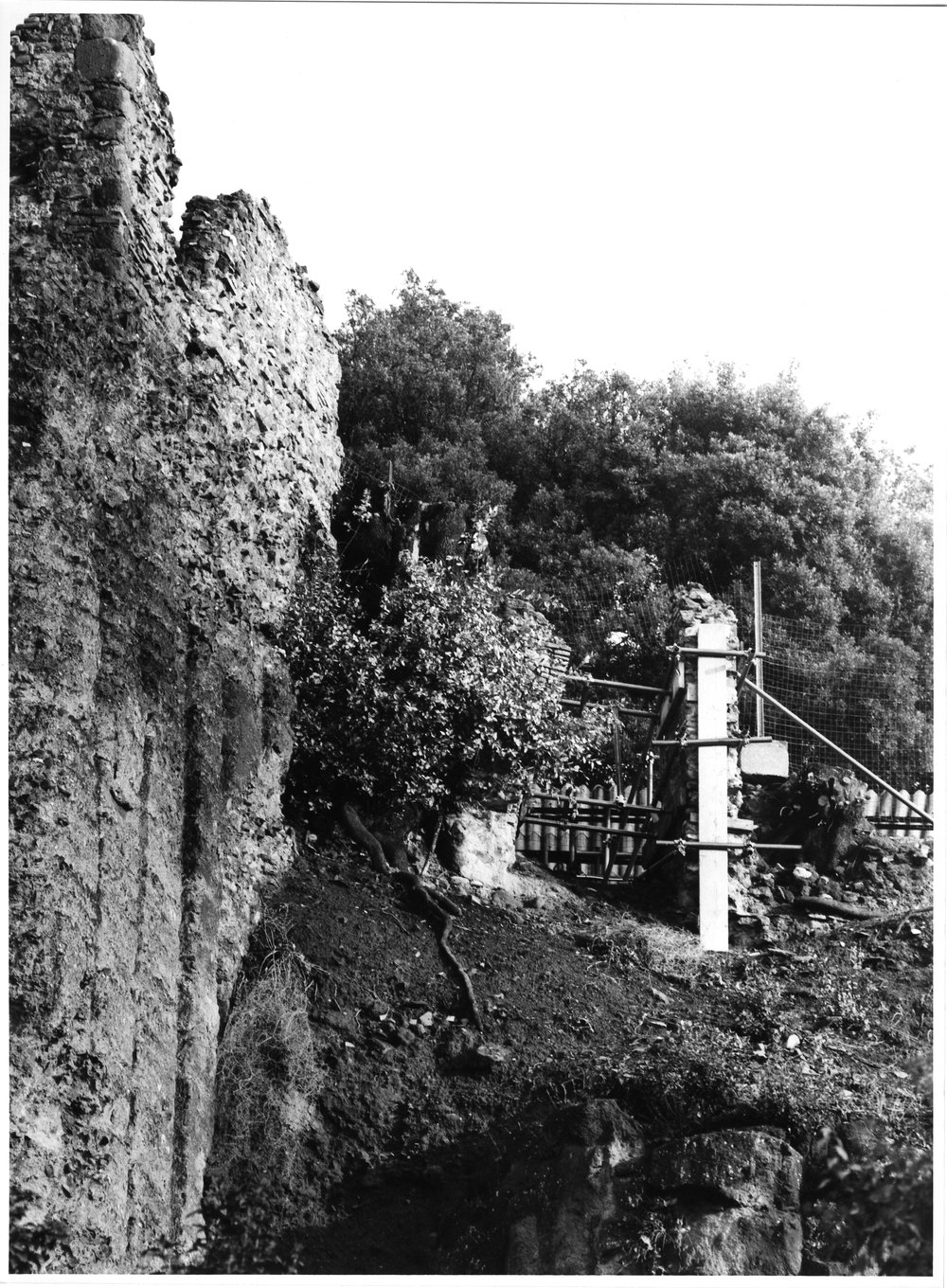 versante s. teodoro 3.tif