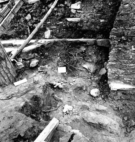 005708 - scavo archeologico - Clivio Palatino, lato sinistro: scavi