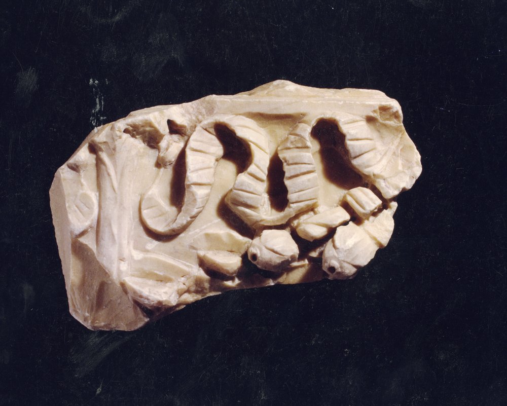 Domus Tiberiana 38.tif