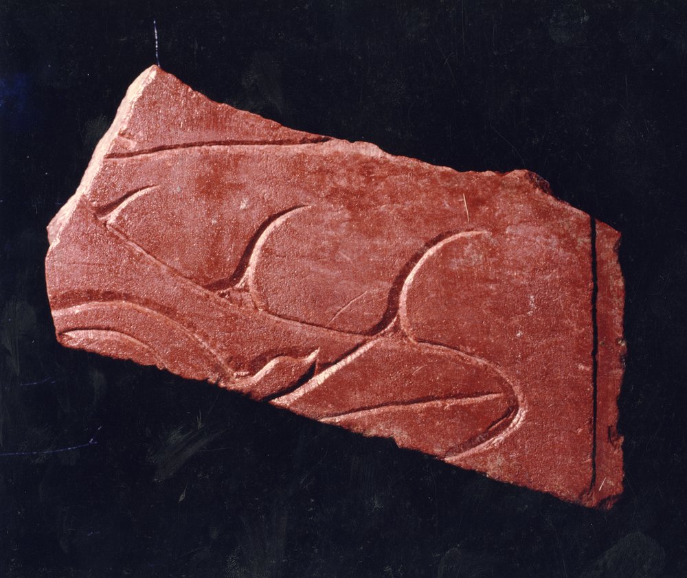 Domus Tiberiana 28.tif